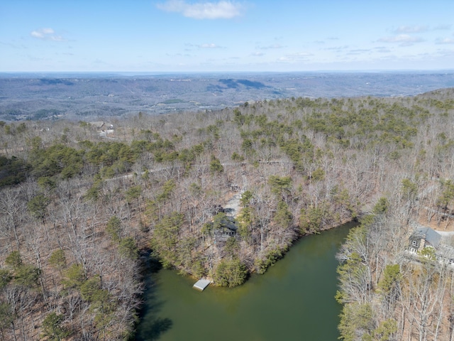 birds eye view of property with a water view and a view of trees