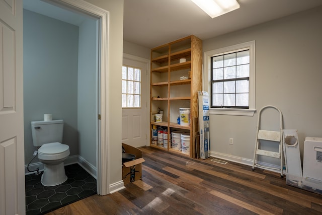 interior space featuring toilet, baseboards, a wealth of natural light, and wood finished floors