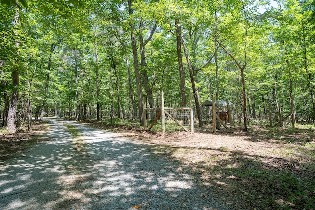 346 Mac Lake Dr, Rising Fawn, GA 30738 - photo 52