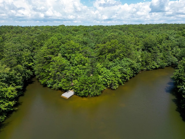 346 Mac Lake Dr, Rising Fawn, GA 30738 - photo 4
