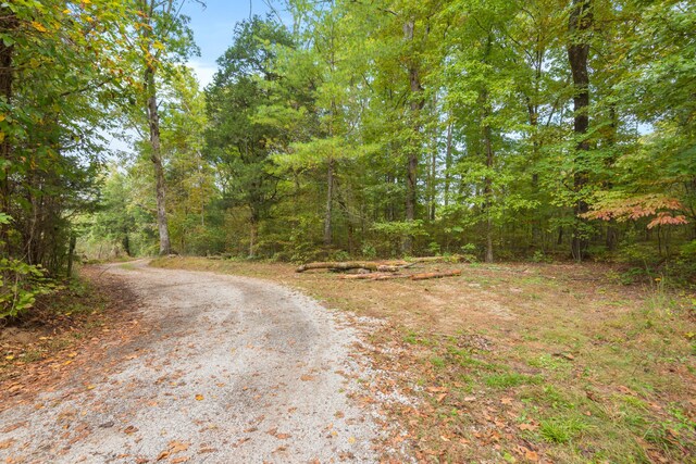 0 Rodgers Ln, Rockwood, TN 37854