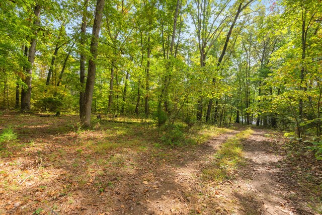 0 Rodgers Ln, Rockwood, TN 37854