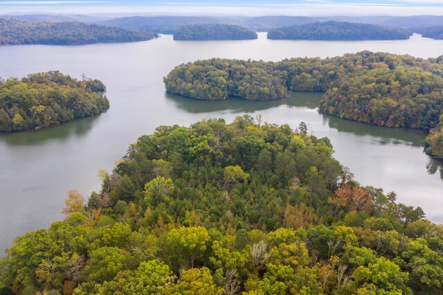 0 Rodgers Ln, Rockwood, TN 37854