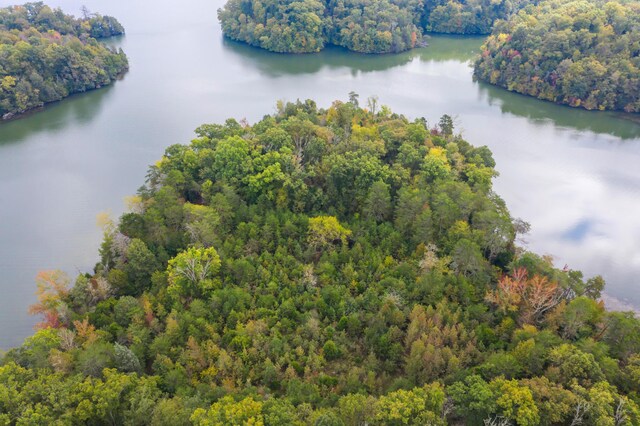 0 Rodgers Ln, Rockwood, TN 37854