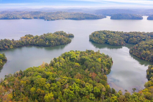 0 Rodgers Ln, Rockwood, TN 37854