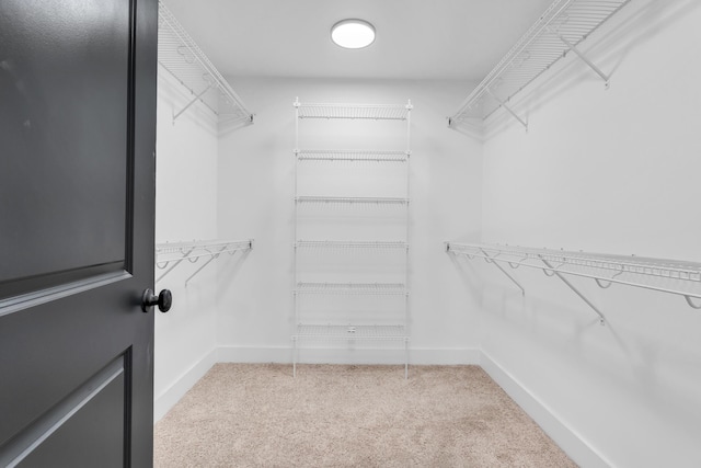 spacious closet with carpet