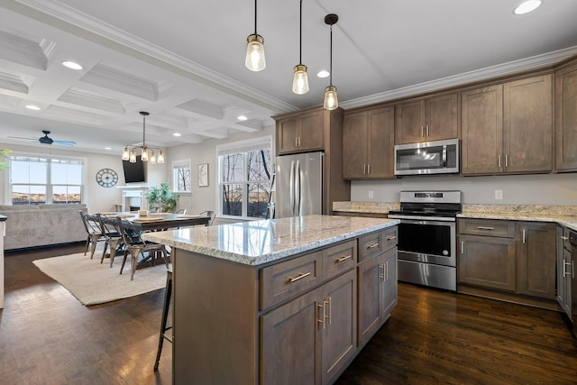 kitchen featuring appliances with stainless steel finishes, open floor plan, a healthy amount of sunlight, and dark wood finished floors