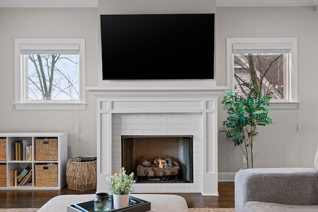 living area with a fireplace and wood finished floors