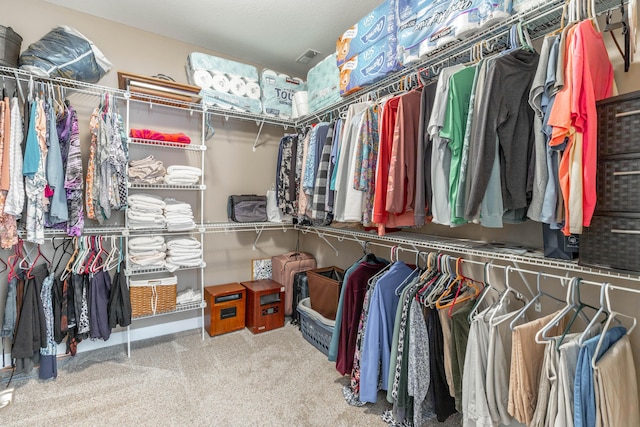 spacious closet featuring carpet