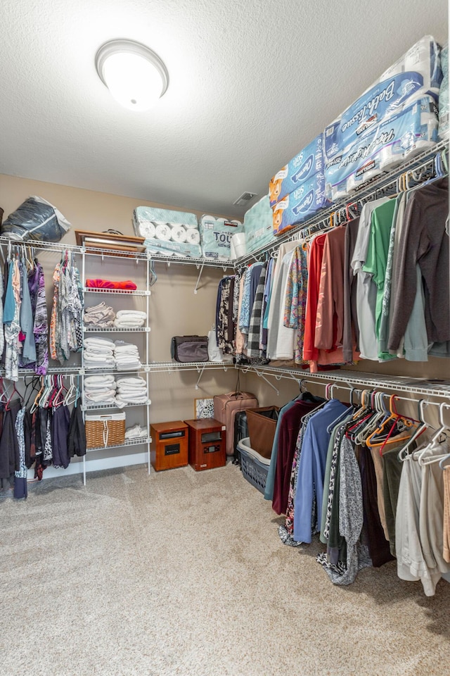 spacious closet featuring carpet