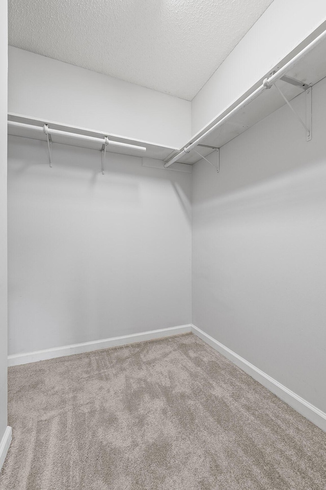 walk in closet with carpet flooring