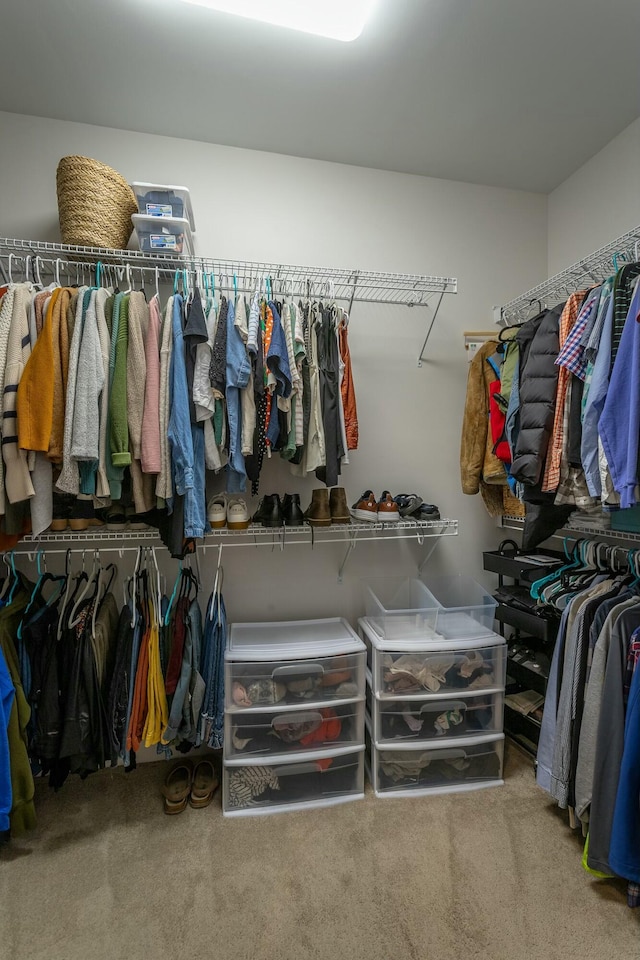 spacious closet featuring carpet floors