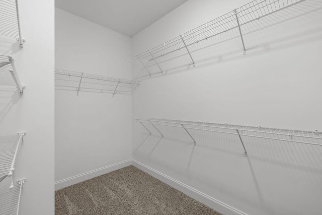 9676 Mayfly Rd # 10, Ooltewah, TN 37363 - walk in closet with carpet flooring