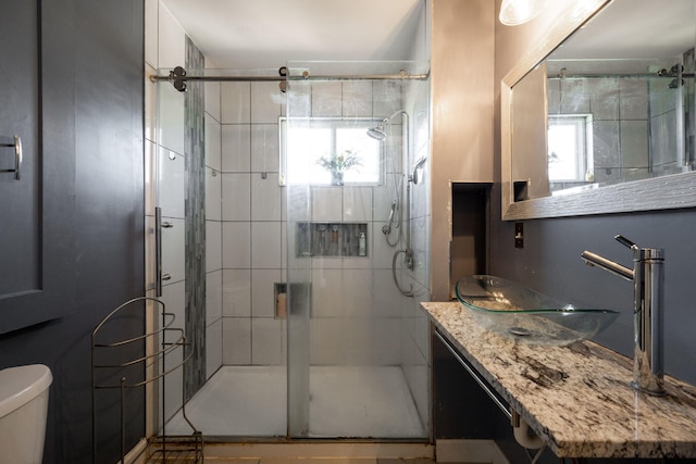 bathroom featuring toilet, a shower stall, and vanity