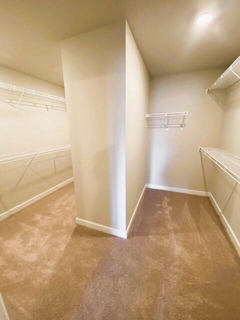 spacious closet with carpet