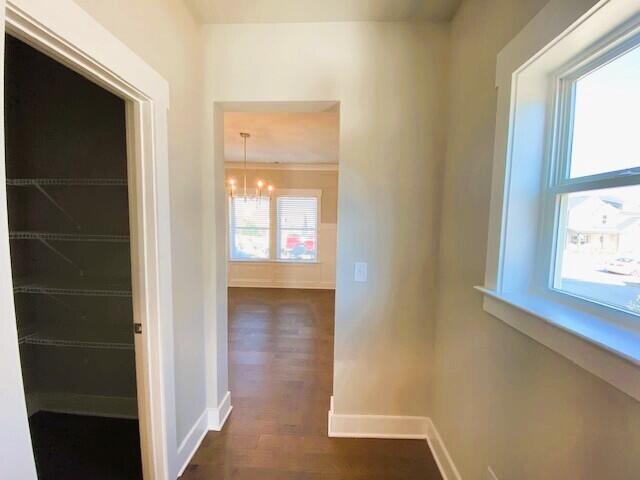 hall featuring a chandelier, baseboards, and dark wood-style floors