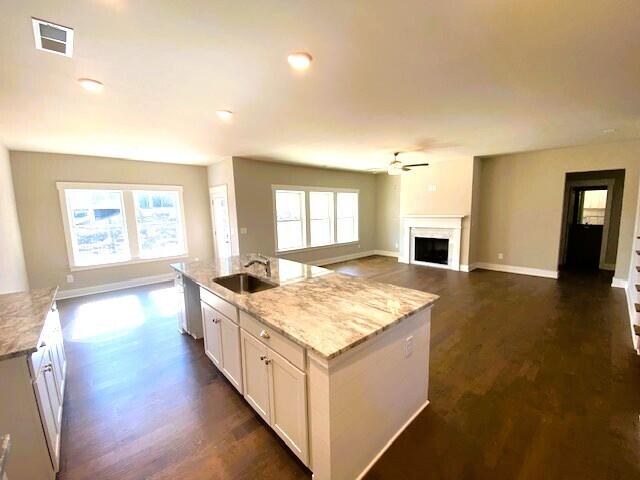 kitchen with a fireplace, a sink, visible vents, and a healthy amount of sunlight