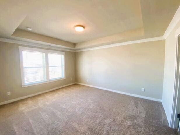 carpeted spare room with crown molding, a tray ceiling, and baseboards