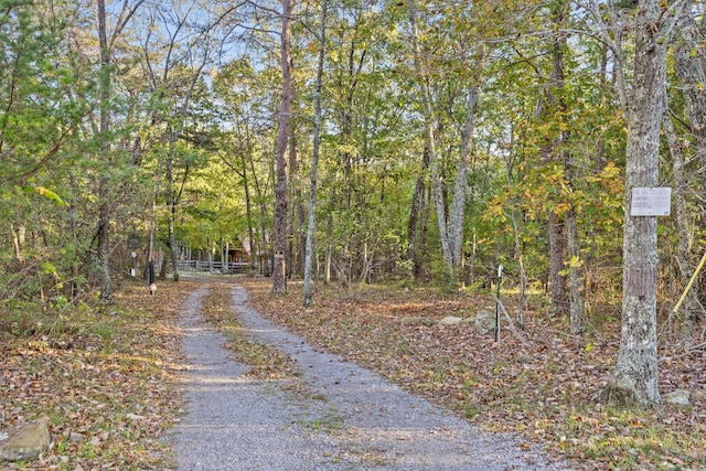 view of street featuring driveway and a view of trees