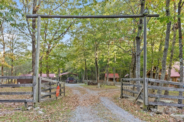 view of street featuring driveway, a gated entry, and a view of trees