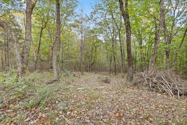 view of landscape with a wooded view