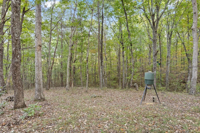 view of yard with a view of trees