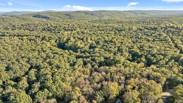 aerial view featuring a mountain view and a view of trees