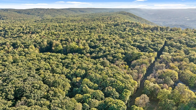 drone / aerial view featuring a mountain view and a wooded view