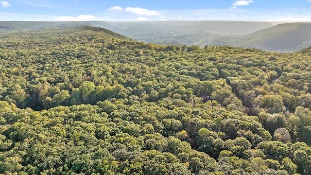 mountain view featuring a wooded view