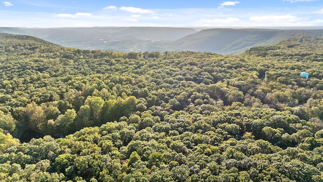 mountain view featuring a forest view