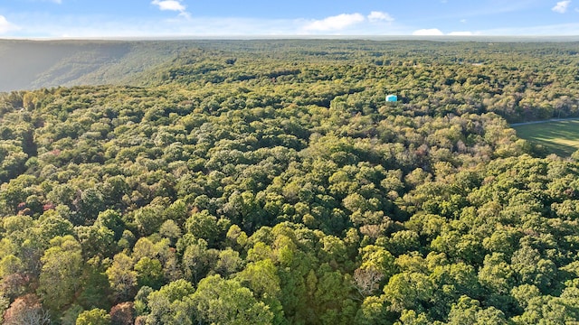 bird's eye view with a forest view