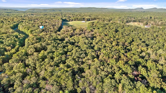 drone / aerial view with a mountain view and a wooded view