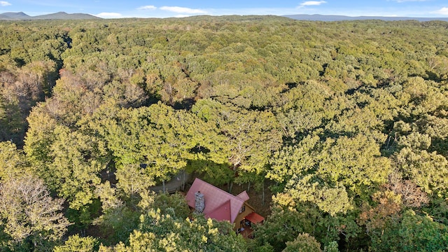 drone / aerial view featuring a mountain view and a forest view