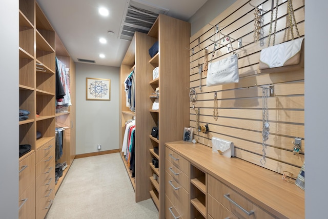 191 Chestnut St Unit 602, Chattanooga, TN 37402 - spacious closet with light carpet