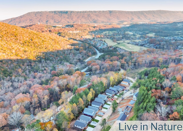 drone / aerial view with a mountain view