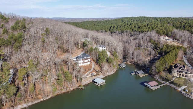 birds eye view of property with a water view and a forest view
