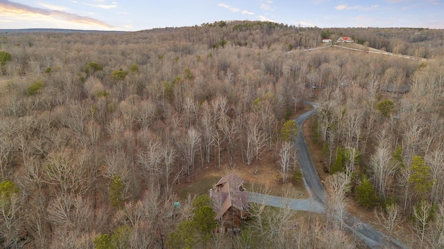 aerial view with a forest view