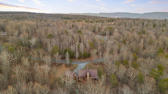 bird's eye view with a wooded view and a mountain view