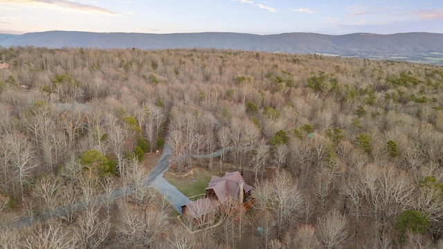 drone / aerial view with a mountain view