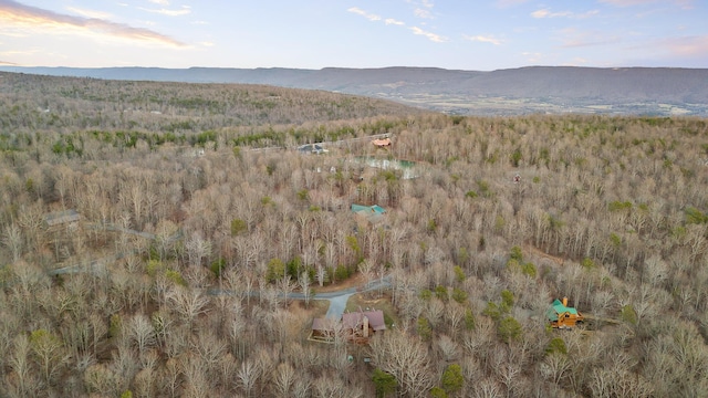 aerial view with a mountain view