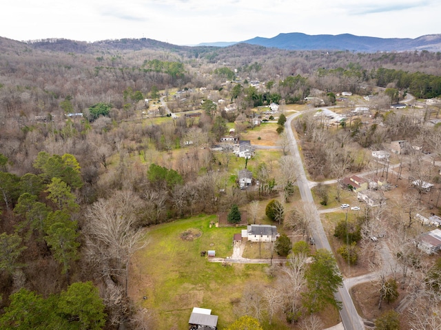 birds eye view of property featuring a mountain view and a wooded view