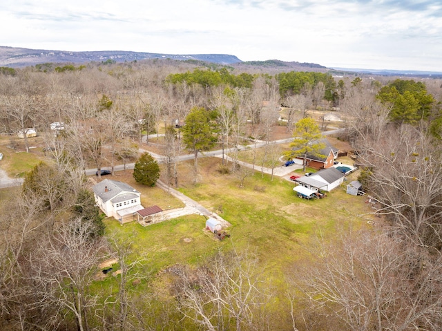 aerial view with a mountain view