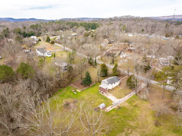 drone / aerial view featuring a mountain view