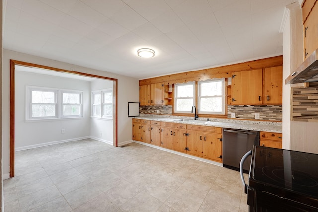 kitchen featuring a sink, plenty of natural light, black electric range oven, and dishwasher