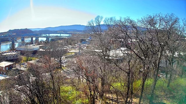 102 Tampa St, Chattanooga TN, 37405 land for sale