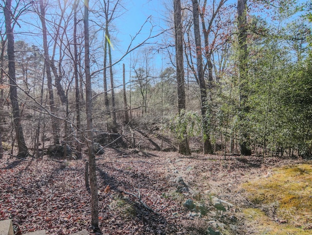 view of nature featuring a view of trees