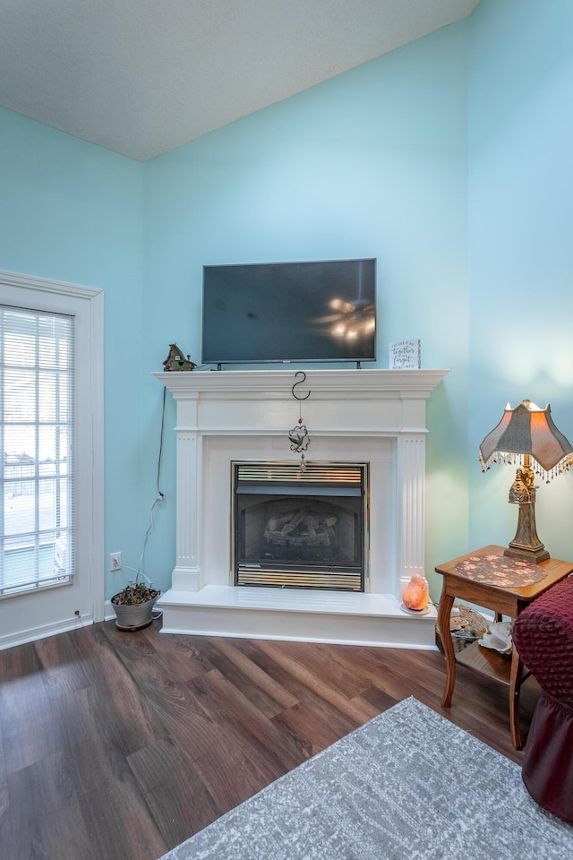 interior space featuring a glass covered fireplace and wood finished floors