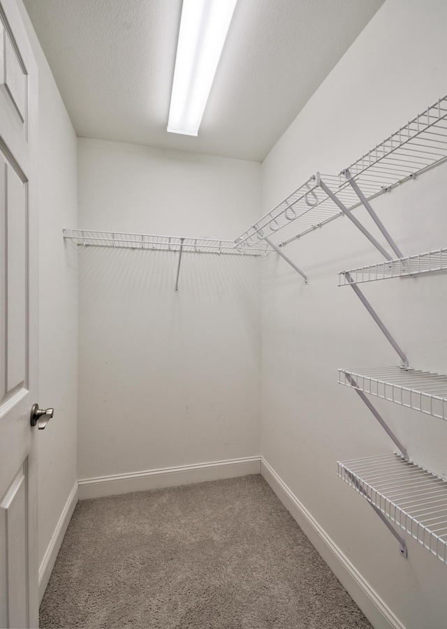 walk in closet featuring light carpet