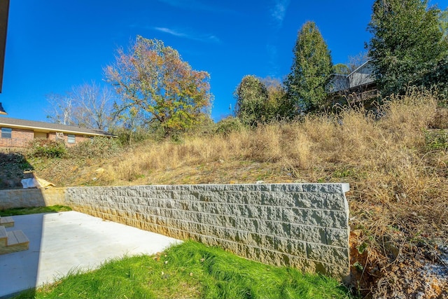 view of yard with a patio