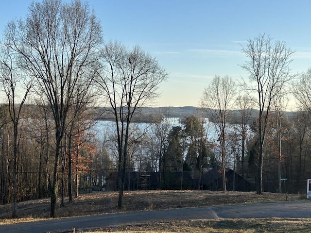 view of water feature